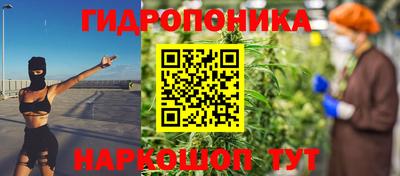 прущие грибы Пугачёв