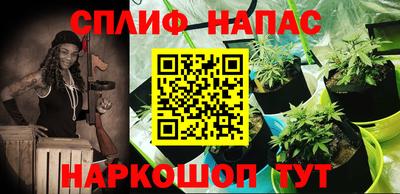 гидропоника Пыть-Ях