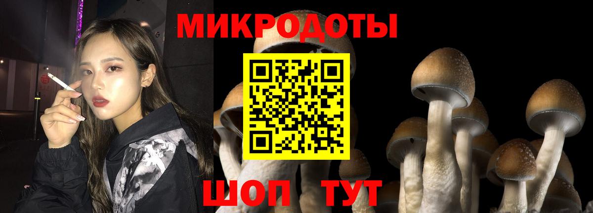 Галлюциногенные грибы Psilocybine cubensis Туапсе